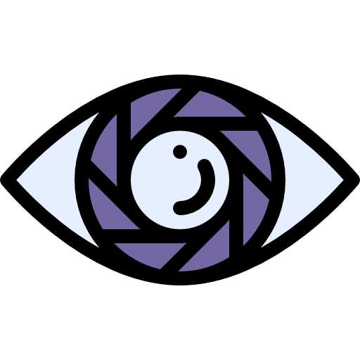 Vision icon