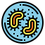 Bacteria icon 64x64