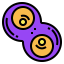 Cell division icon 64x64