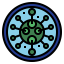 Covid-19 icon 64x64