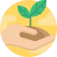 Sprout icon 64x64