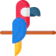 Macaw Ikona 64x64