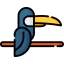 Toucan 图标 64x64