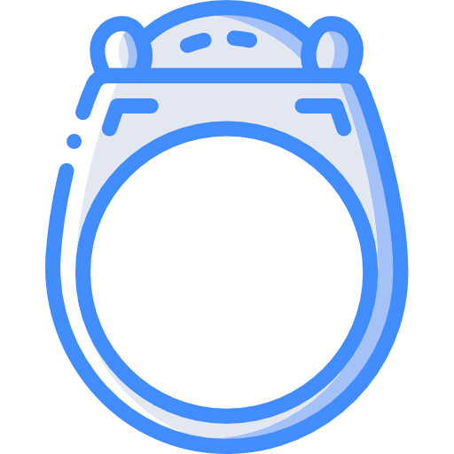 Ring icon