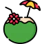 Coconut 图标 64x64