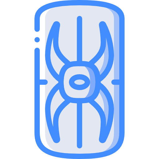 Shield icon