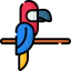 Macaw 图标 64x64
