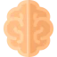 Intellect icon 64x64