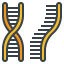 Dna icon 64x64