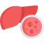 Liver cancer Ikona 64x64