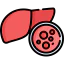 Liver cancer icône 64x64