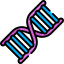Dna icône 64x64