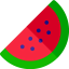 Watermelon icon 64x64