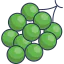 Grapes icon 64x64