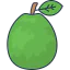 Pear icon 64x64
