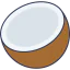 Coconut icon 64x64