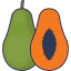Papaya アイコン 64x64
