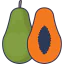Papaya icon 64x64