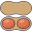 Peanut icon 64x64