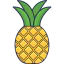 Pineapple icon 64x64