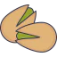 Pistachio icon 64x64