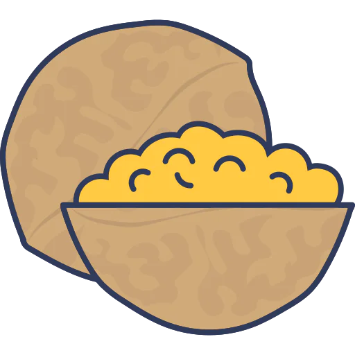 Walnut icon