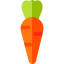 Carrot icon 64x64