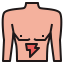 Stomach アイコン 64x64