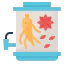 Herb アイコン 64x64