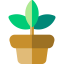 Plant 상 64x64