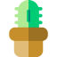 Cactus 상 64x64