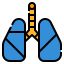 Lungs icon 64x64