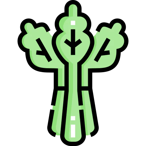 Celery icon