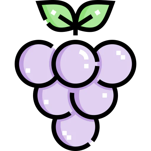 Grape 图标