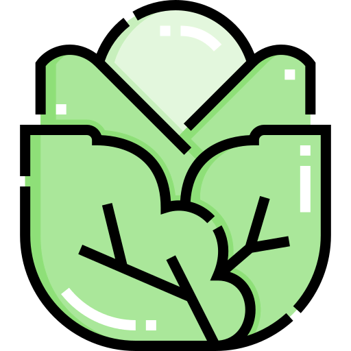Cabbage icon