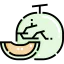 Melon icon 64x64