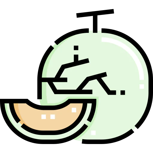 Melon icon