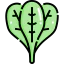 Spinach icon 64x64