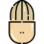 Almond icon 64x64