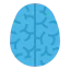 Brain icon 64x64