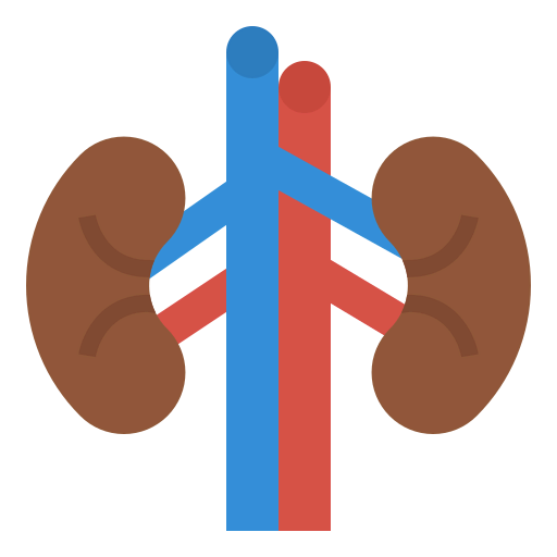Kidneys icon