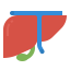 Liver icon 64x64