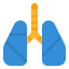 Lungs icon 64x64