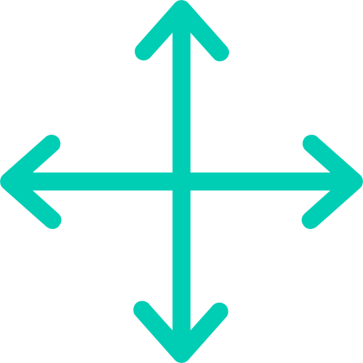 Move icon