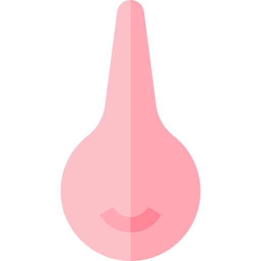 Pear Enema icon