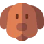 Dog 图标 64x64