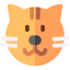 Cat 图标 64x64