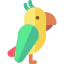 Parrot 图标 64x64