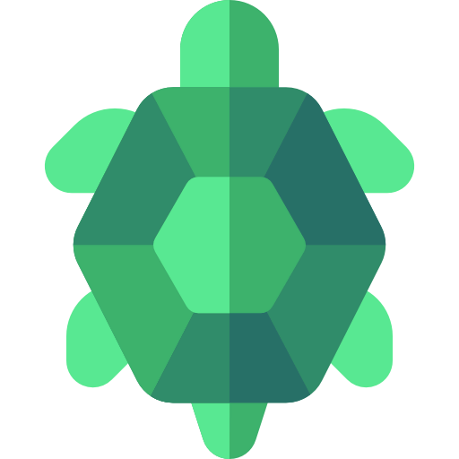 Turtle icon