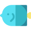 Fish 图标 64x64
